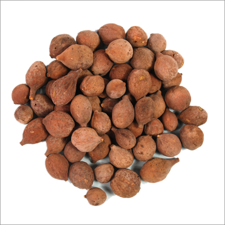 terminalia bellerica