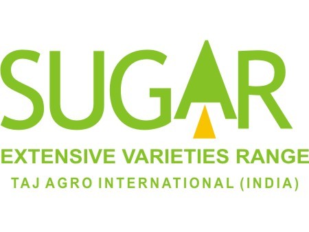 Sugar Sugar