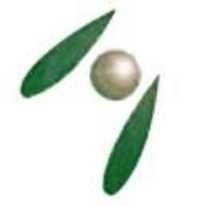 Honey peach Juice Spray Dried Powder
