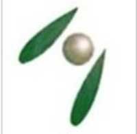 Paclitaxel