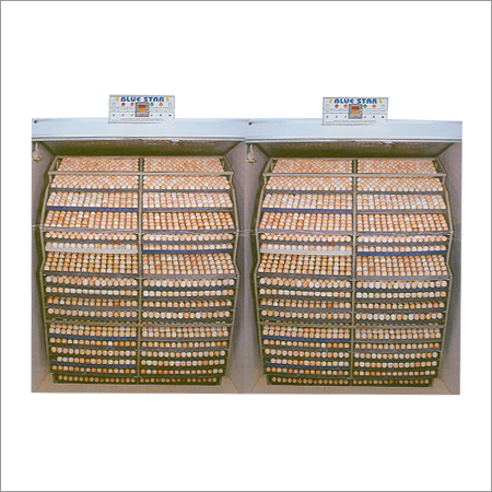 Incubators For Chickens South Africa