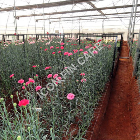 Photo Sensitive Greenhouse Projects Service Provider, Ahmedabad, India greenhouse project in ahmedabad Photo Sensitive Greenhouse Projects Service Provider, Ahmedabad, India greenhouse project in ahmedabad