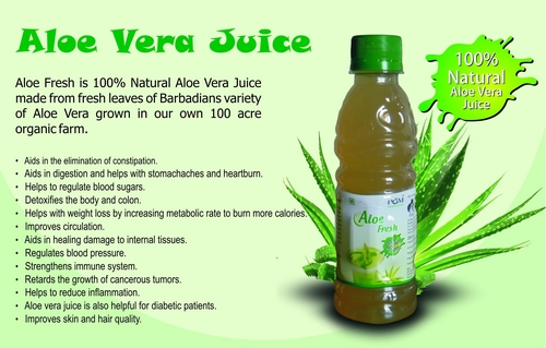 aloe vera business plan in india This aspect was highly valued by the second prime minister of india which found aloevera (aloe barbadensis) is a popular medicinal plant. aloe vera business plan in india This aspect was highly valued by the second prime minister of india which found aloevera (aloe barbadensis) is a popular medicinal plant.