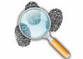 Corporate Forensic Investigation Services
