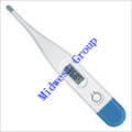 Digital Thermometer