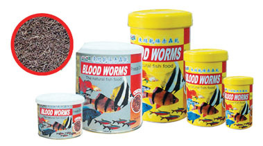 Kw Worms Kw Worms