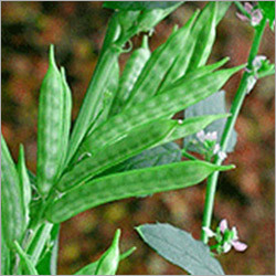Guar gums - linear chain of mannose with single galactose units attached as side chains