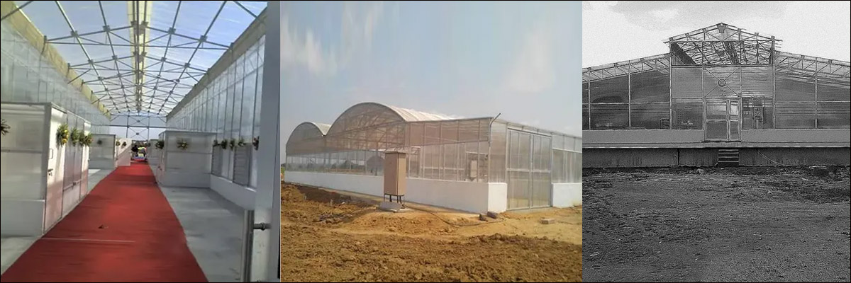 Sri Sai Fibres Pvt. Ltd. Sri Sai Fibres Pvt. Ltd.