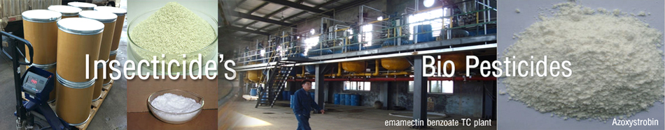 Chindia Agrotech Banner Chindia Agrotech Banner