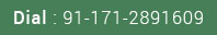 Dial Dial