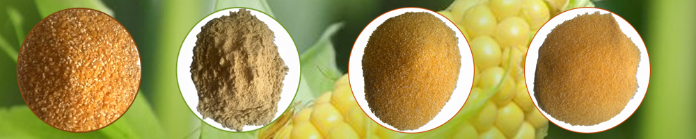 Shivam Agro Products Banner Shivam Agro Products Banner