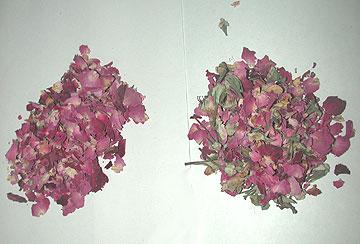 Dry Rose Petals Dry Rose Petals