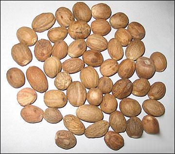 Nutmeg (Myristica Fragrans) Nutmeg (Myristica Fragrans)