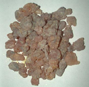 Olibanum Gum Olibanum Gum