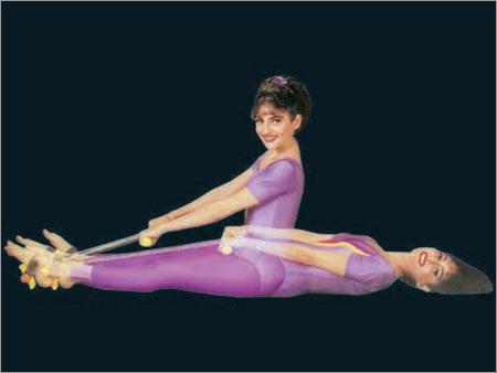 tummy trimmer exercise chart pdf
