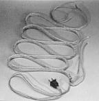 High Temperature Tape High Temperature Tape
