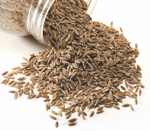 Cumin Seeds Cumin Seeds