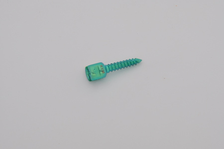 Monoaxial Pedicle Screws Monoaxial Pedicle Screws
