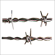 Ms Barbed Wire Ms Barbed Wire