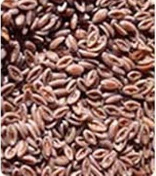 Psyllium Seed Psyllium Seed