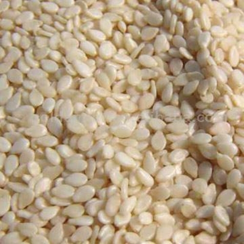 Sesame Seed Sesame Seed