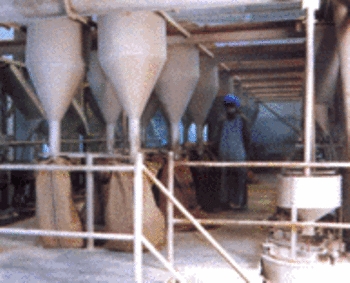Psyllium making Machine Psyllium making Machine