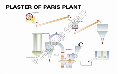 Plaster of Paris Plant Plaster of Paris Plant