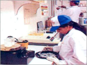 Production Facilities Production Facilities