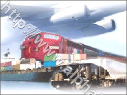 International Freight Forwarders International Freight Forwarders