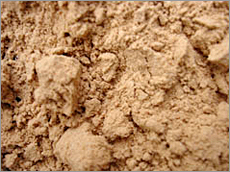 Psyllium Khakha Powder Psyllium Khakha Powder