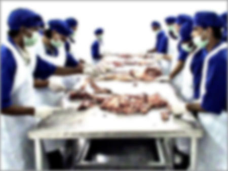 Buffalo Meat Processing Buffalo Meat Processing