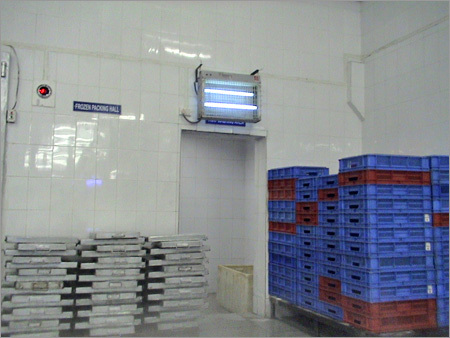 Frozen Packing Hall Facility Frozen Packing Hall Facility