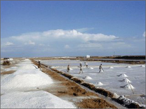 Solar Salt Solar Salt