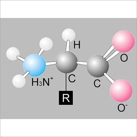 Amino Acids Amino Acids