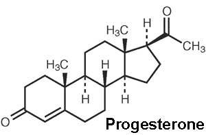 Progesterone Progesterone
