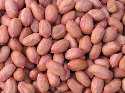 Redskin Peanuts Redskin Peanuts