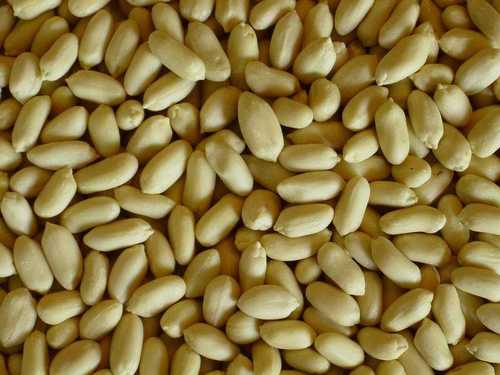 Roasted Salted Blanched Peanuts Roasted Salted Blanched Peanuts