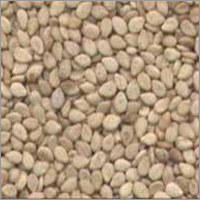 White Sesame Seeds White Sesame Seeds