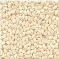 Hulled Sesame Seed Hulled Sesame Seed