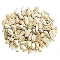 White Safflower Seeds White Safflower Seeds