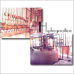 Industrial Hydrogenation Plant Industrial Hydrogenation Plant