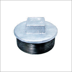 Plug (Male) Plug (Male)