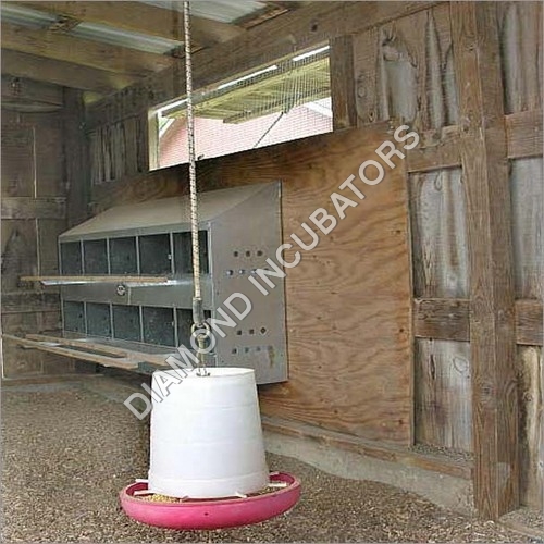 Poultry Feeder Poultry Feeder