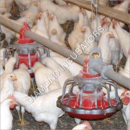 Pan Feeder Pan Feeder