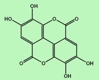 Ellagic Acid Ellagic Acid