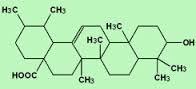 Ursolic Acid Ursolic Acid