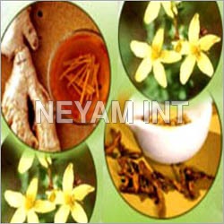 Herbal Medicine Herbal Medicine