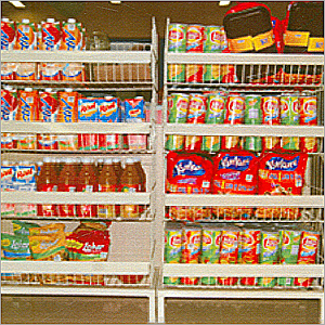 Aligator Bins Aligator Bins