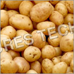 Organic Potatoes Organic Potatoes