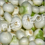 White Onion White Onion